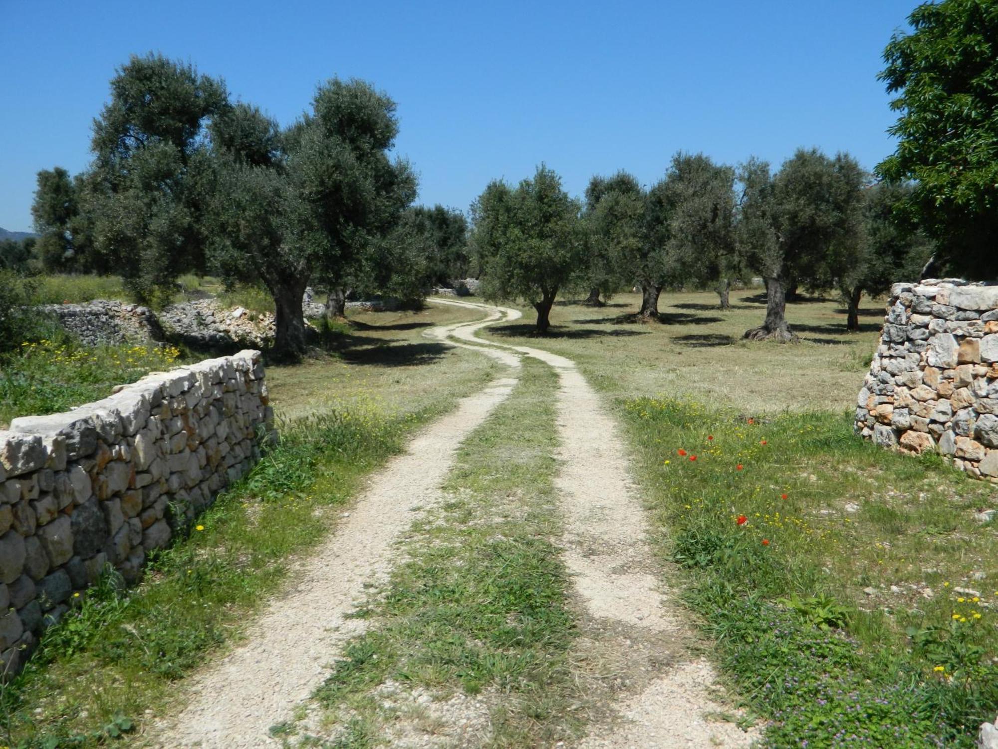 פאסאנו Masseria Purgatorio מראה חיצוני תמונה