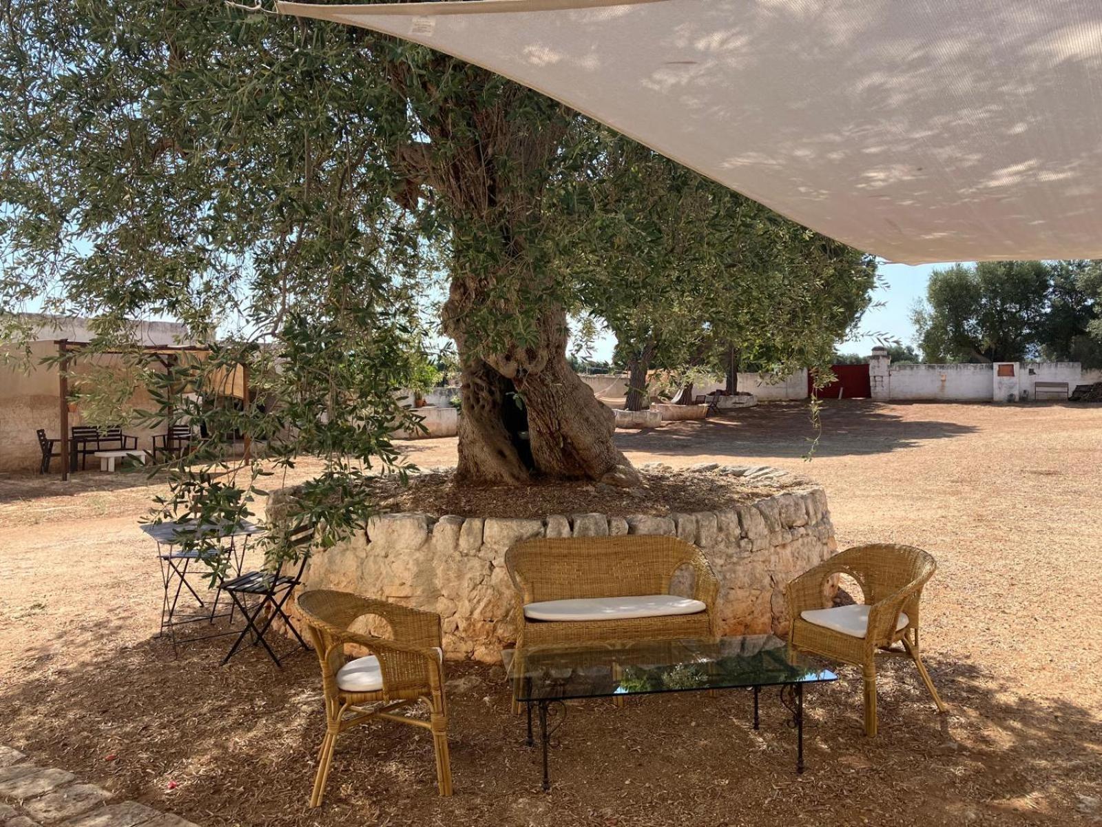 פאסאנו Masseria Purgatorio מראה חיצוני תמונה