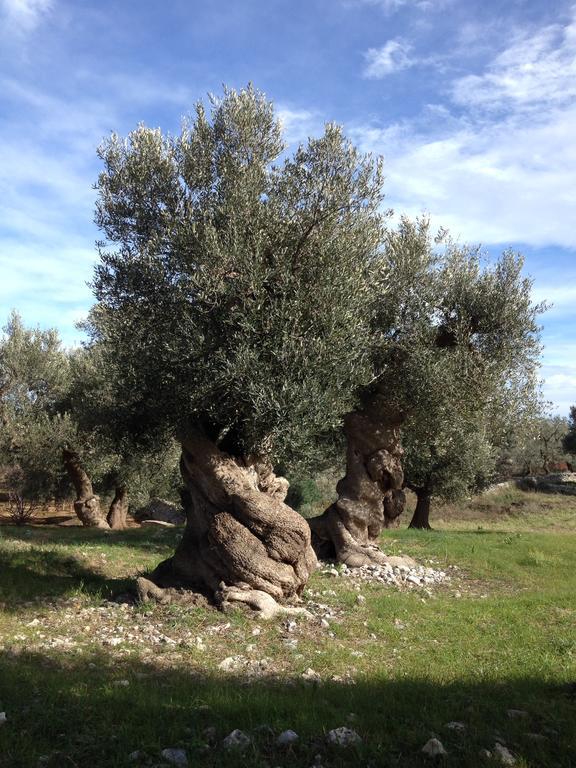 פאסאנו Masseria Purgatorio מראה חיצוני תמונה